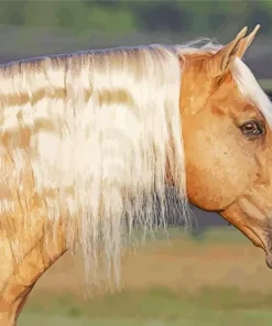 Palomino Horse With Blonde Hair Diamond Painting