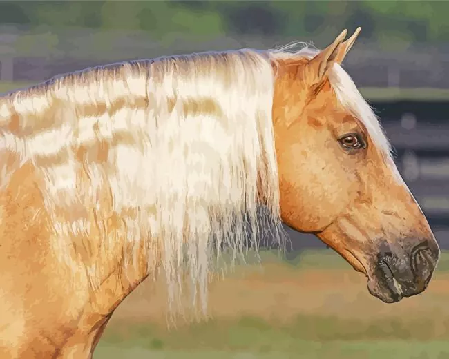 Palomino horse with blonde hair Diamond Paintings Palomino Horse With Blonde Hair Diamond Painting