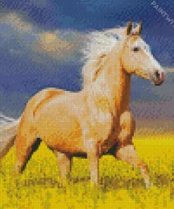 Palomino In A Field Diamond Painting