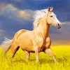 Palomino In A Field Diamond Painting