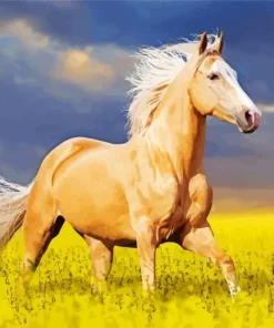 Palomino In A Field Diamond Painting
