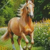 Palomino In Flower Field Diamond Painting