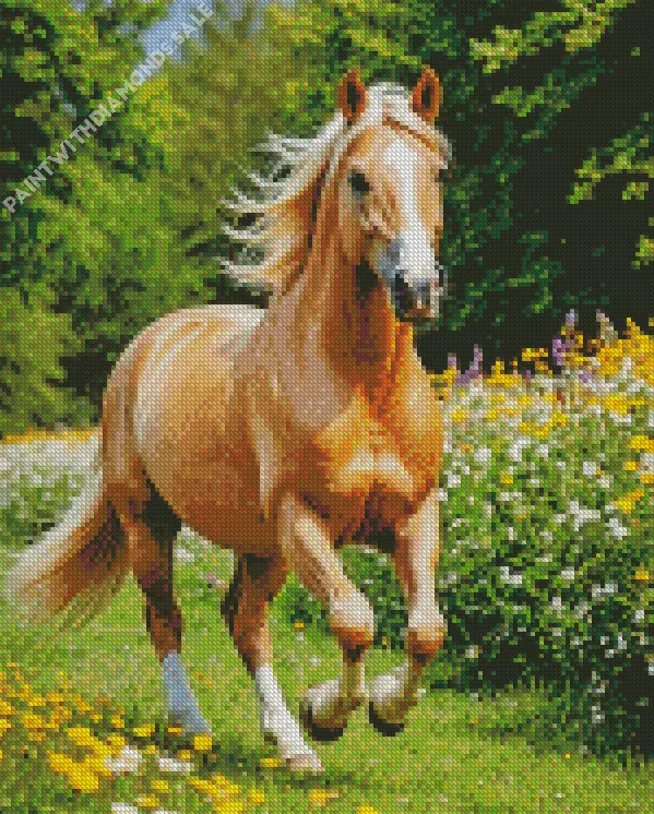 Palomino in flower field Diamond By Numbers Palomino In Flower Field Diamond Painting