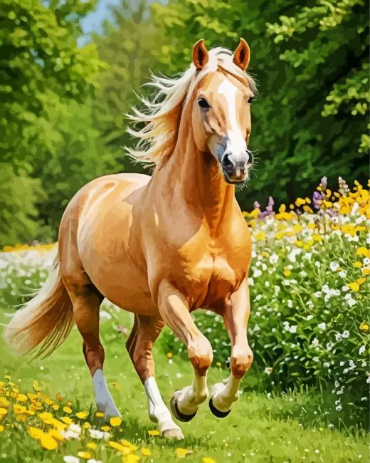 Palomino in flower field Diamond Paintings Palomino In Flower Field Diamond Painting