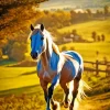 Palomino In Sunlight Diamond Painting