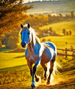 Palomino In Sunlight Diamond Painting