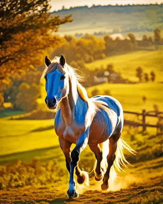 Palomino in sunlight Diamond Paintings Palomino In Sunlight Diamond Painting