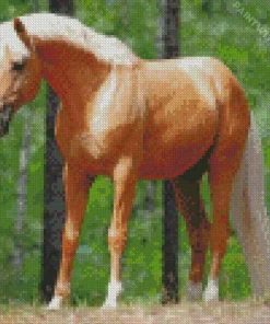 Palomino Pony Diamond Painting