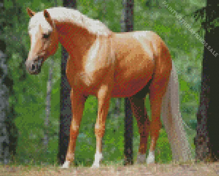 Palomino pony Diamond By Numbers Palomino Pony Diamond Painting