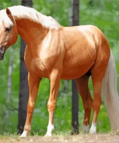 Palomino Pony Diamond Painting