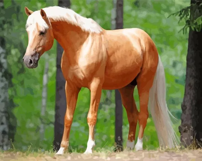 Palomino pony Diamond Paintings Palomino Pony Diamond Painting