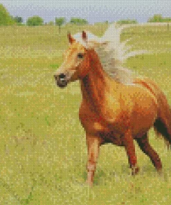 Palomino Running Diamond Painting