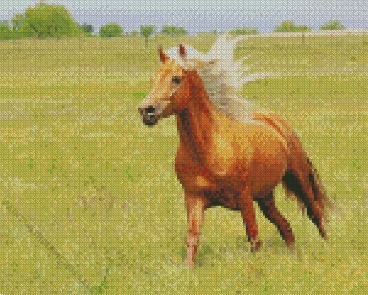 Palomino running Diamond By Numbers Palomino Running Diamond Painting