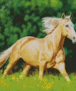 Palomino Running In A Field Diamond Painting