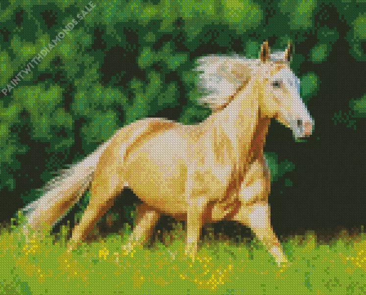 Palomino running in a field Diamond By Numbers Palomino Running In A Field Diamond Painting
