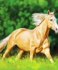 Palomino Running In A Field Diamond Painting