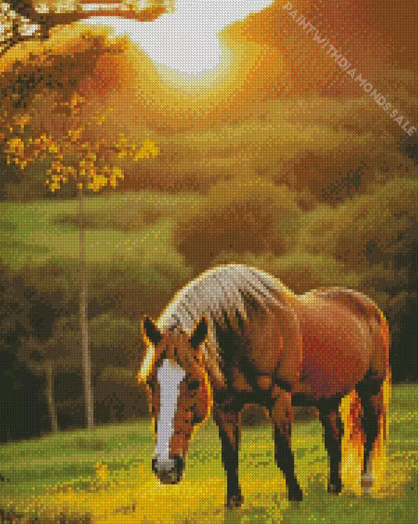 Palominos Diamond By Numbers Palominos Diamond Painting