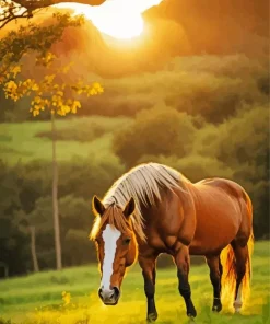 Palominos Diamond Painting