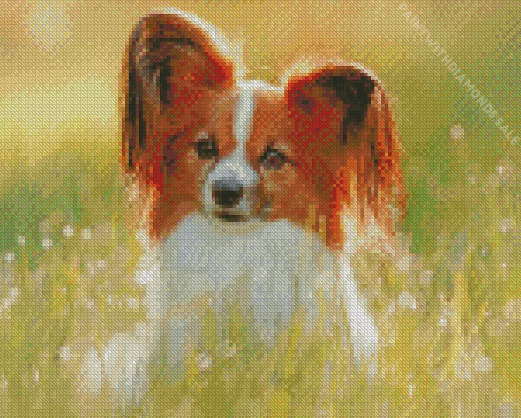 Papillon Diamond Paints Papillon Diamond Painting