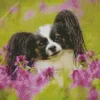 Papillon And Purple Flowers Diamond Painting