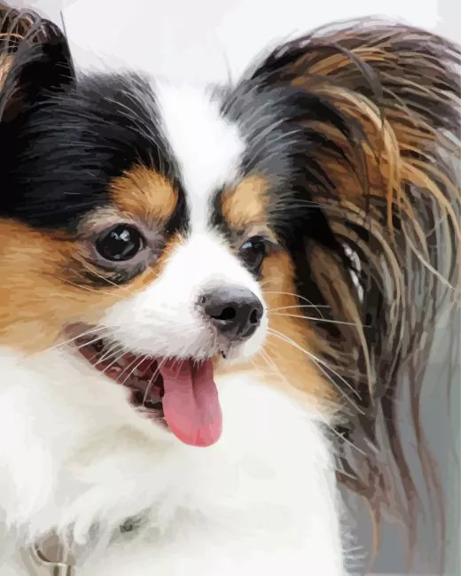 Papillon close up Diamond By Numbers Papillon Close Up Diamond Painting