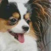 Papillon Close Up Diamond Painting