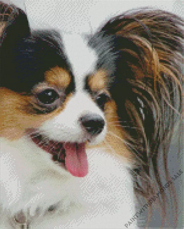 Papillon close up Diamond Paints Papillon Close Up Diamond Painting