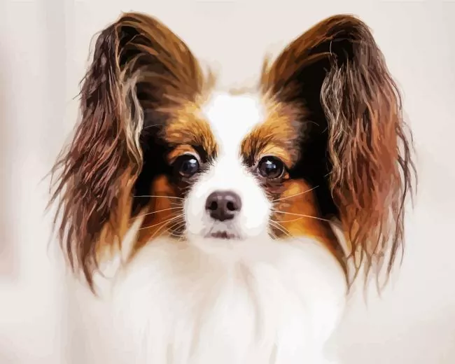 Papillon dog Diamond By Numbers Papillon Dog Diamond Painting