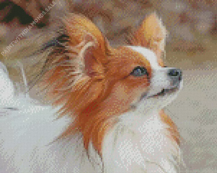 Papillon dog Diamond Paints Papillon Dog Diamond Painting
