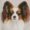 Papillon Dog Diamond Painting