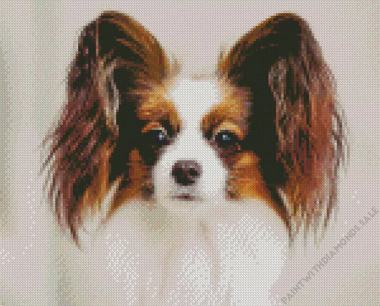 Papillon dog Diamond Paints Papillon Dog Diamond Painting