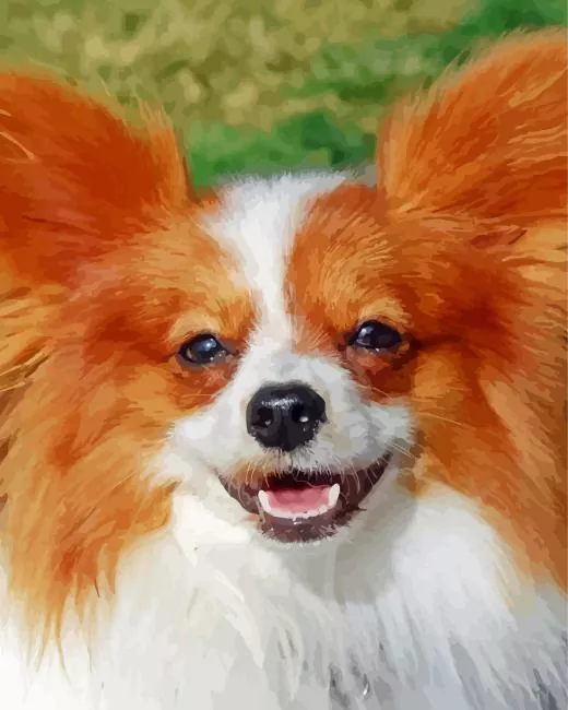 Papillon dog face Diamond By Numbers Papillon Dog Face Diamond Painting