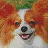 Papillon Dog Face Diamond Painting