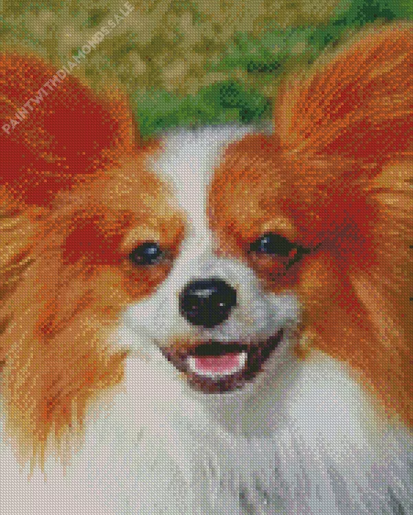 Papillon dog face Diamond Paints Papillon Dog Face Diamond Painting