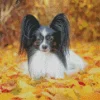 Papillon Dog In Autumn Leaves Diamond Painting