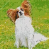 Papillon Dog With Brown Hair Diamond Painting