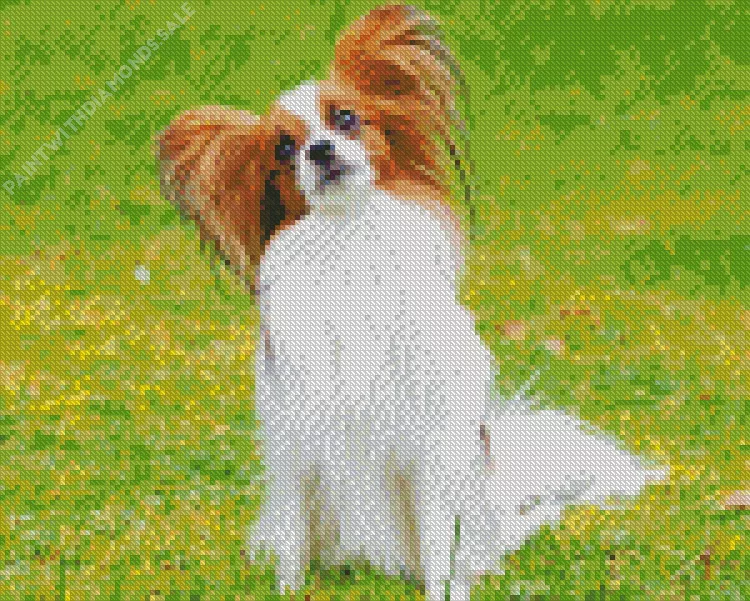 Papillon dog with brown hair Diamond Paints Papillon Dog With Brown Hair Diamond Painting