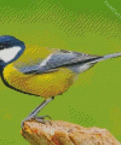 Parus Bird Diamond Painting