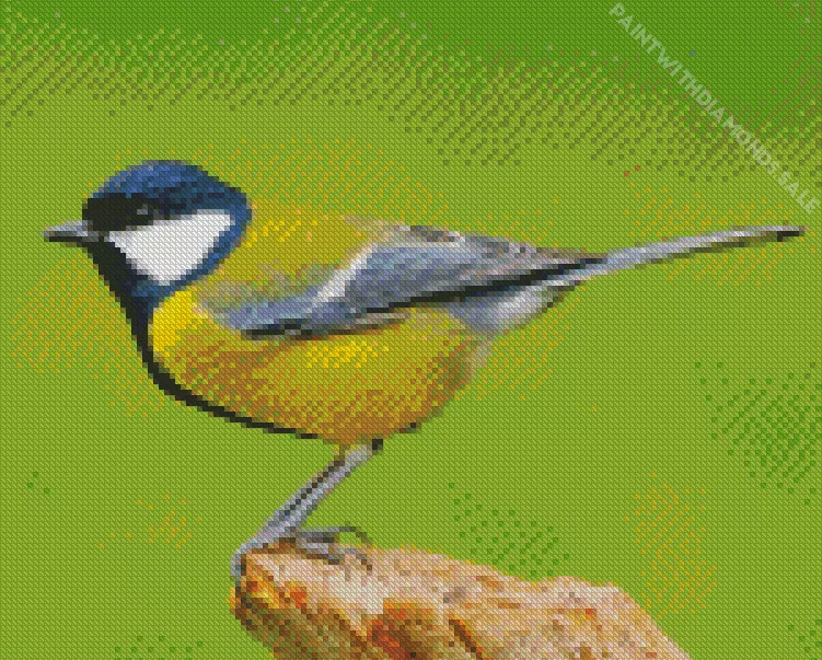 Parus Bird Diamond Dotz Parus Bird Diamond Painting
