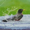 Parus Bird Bath Diamond Painting