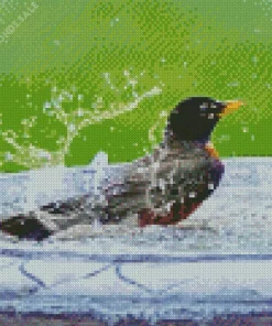 Parus Bird Bath Diamond Painting