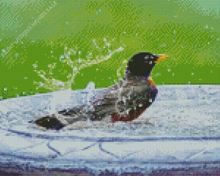 Parus Bird bath Diamond Dotz Parus Bird Bath Diamond Painting