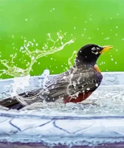 Parus Bird Bath Diamond Painting