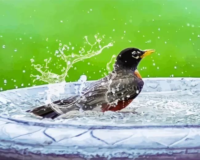 Parus Bird bath Diamond With Numbers Parus Bird Bath Diamond Painting