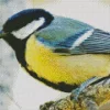 Parus Bird Close Up Diamond Painting