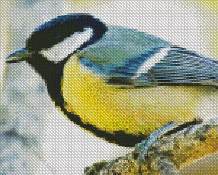 Parus Bird close up Diamond Dotz Parus Bird Close Up Diamond Painting