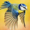 Parus Bird Flying Diamond Painting