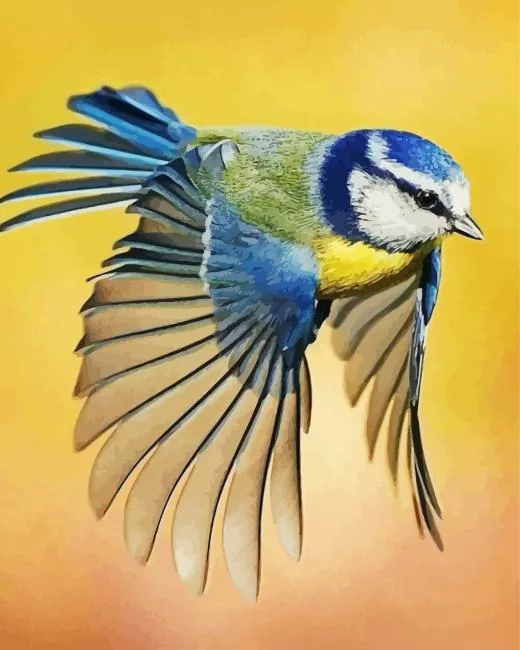 Parus Bird flying Diamond With Numbers Parus Bird Flying Diamond Painting