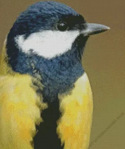 Parus Bird Head Diamond Painting