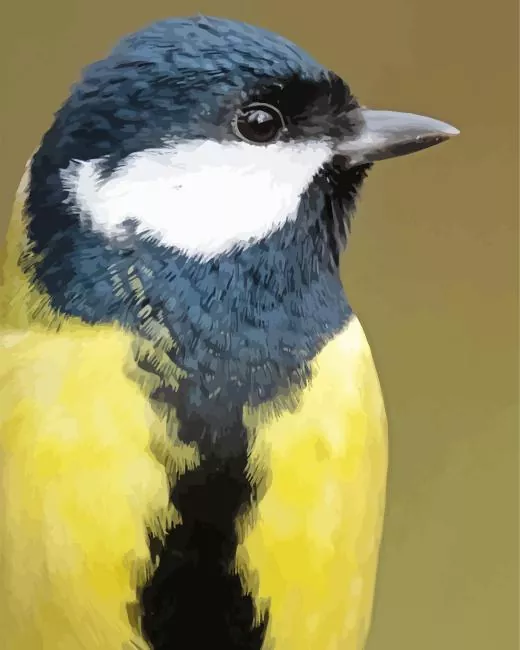 Parus Bird head Diamond With Numbers Parus Bird Head Diamond Painting